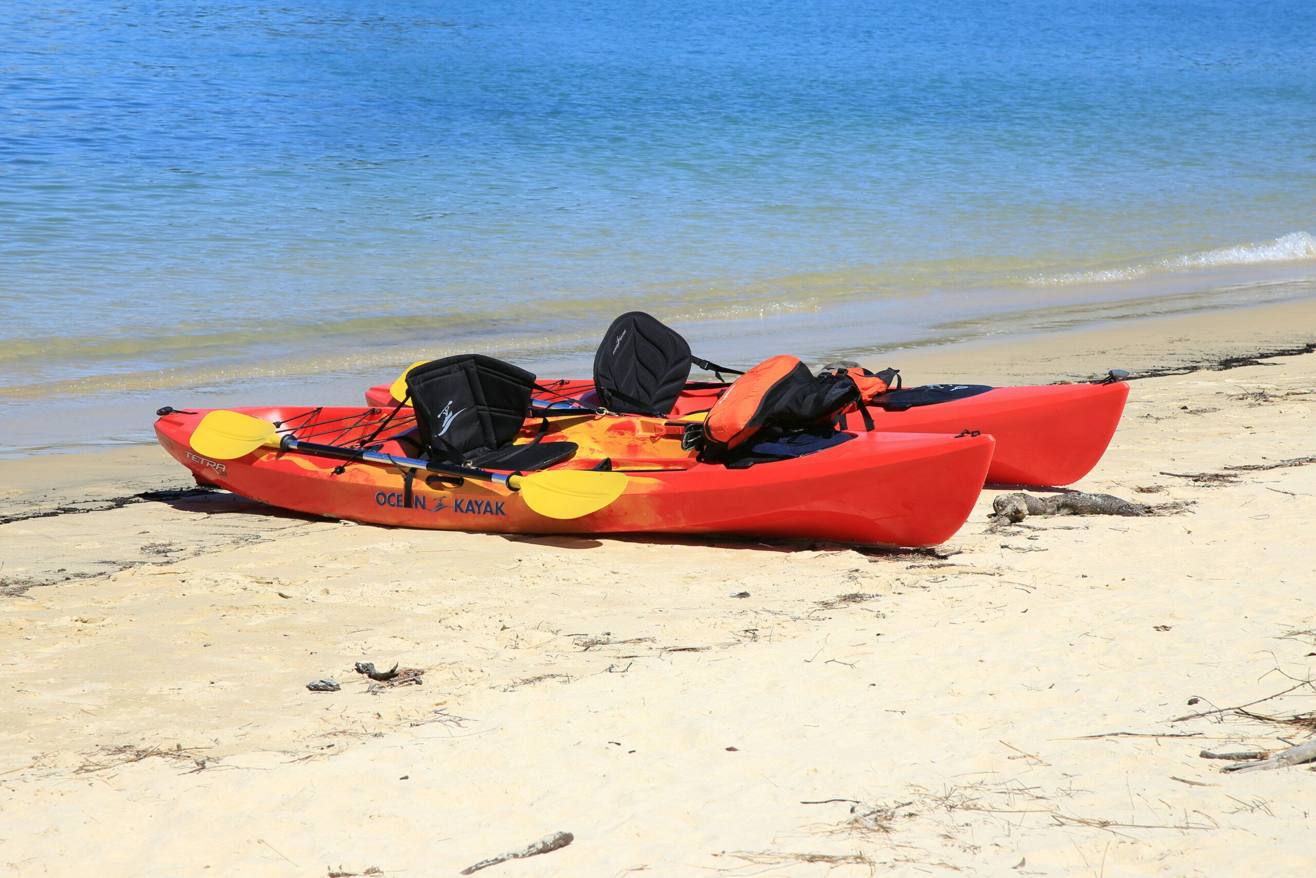 Kayak Rental