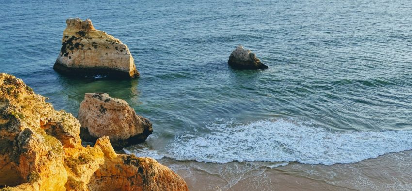 pexels-theotkachuk-19351091